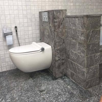 Sanitär Projekte